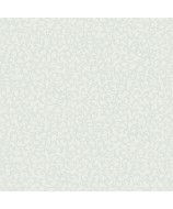 66036